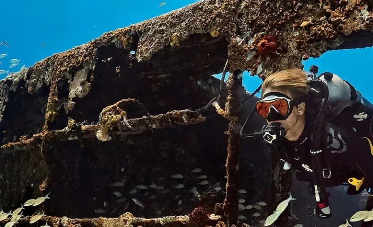 Key Biscayne Challenge: Advanced Diver with PADI 5* Dive Center