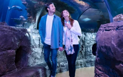 SEA LIFE Arizona Aquarium Ticket