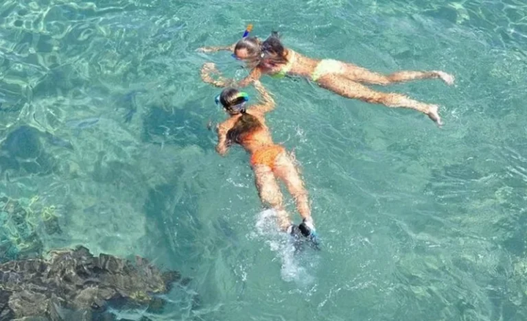 Snorkel Adventure and Sandbar Trip Experience in Islamorada