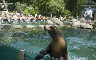 Visit Central Park Zoo & 3h Manhattan Walking Tour