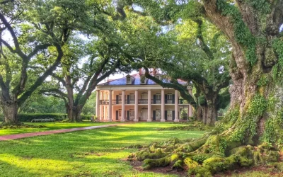 Oak Alley Plantation Tour with Transportation from New Orleans