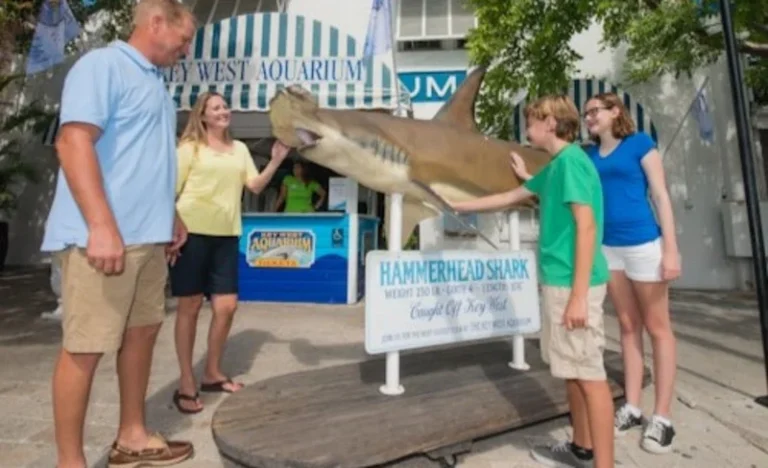 Key West Aquarium Admission in Key West