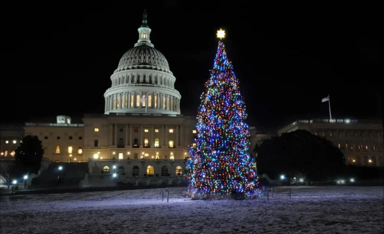 Washington DC Holiday Lights Tour