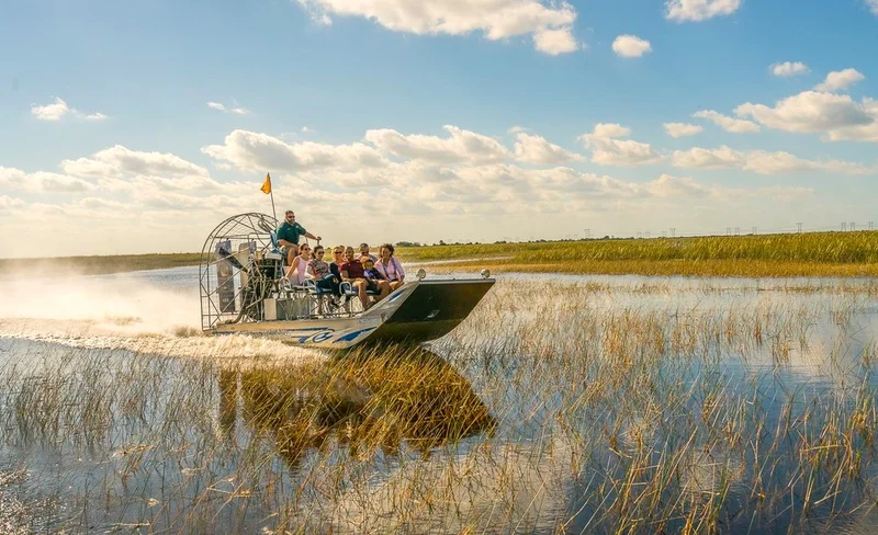 Everglades Airboat & Gator Experience
