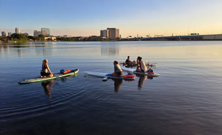 Urban Clear Kayak or Paddleboard Paradise Tour in Orlando