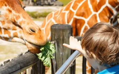 Zoo Miami Admission Ticket