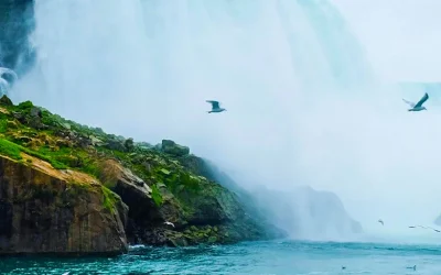 Four-day tour of famous cities in the eastern United States, Niagara Falls, and three major state parks | Roundtrip from New York