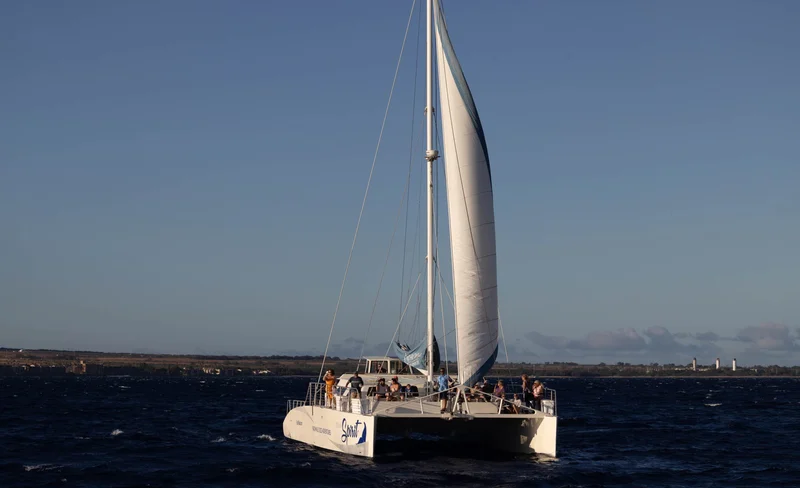 Exclusive Whale Watching with Experts Tour in Maui 17 Exclusive Whale Watching with Experts Tour in Maui