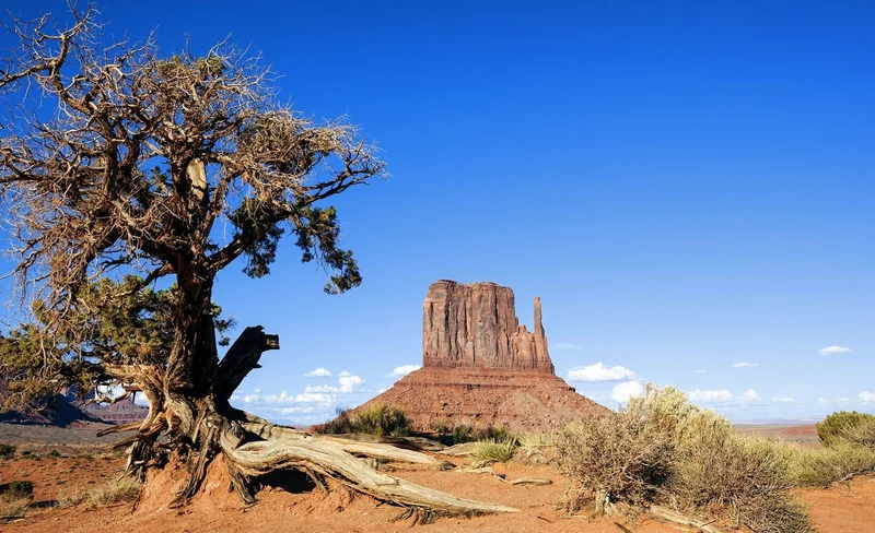 7-Day Magnificent West Tour from San Francisco