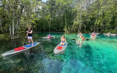 Kayak or Paddle Board Gator Tour in Silver Springs