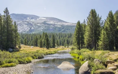 Yosemite National Park Whole Day Small Group Tour from San Francisco