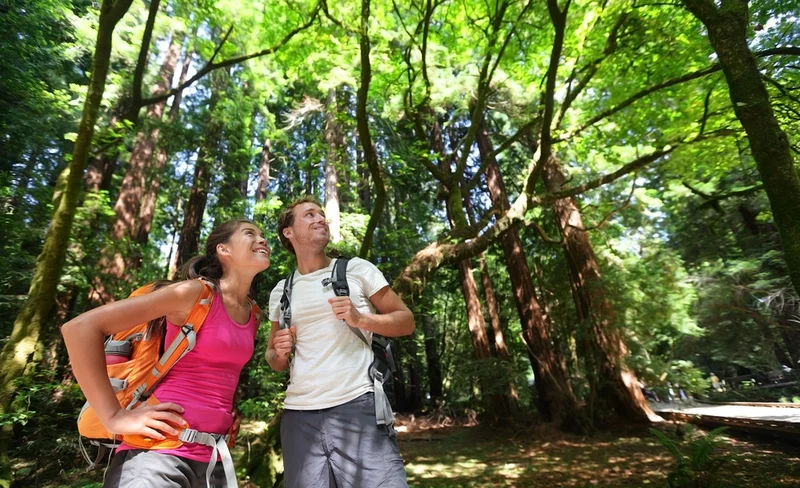 Muir Woods National Monument Tour from San Francisco