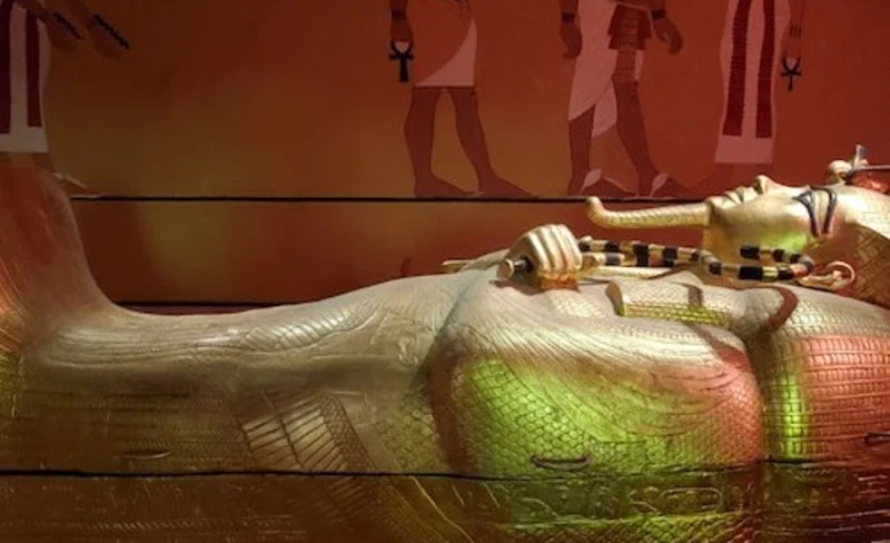 Natural History Museum Admission in Las Vegas