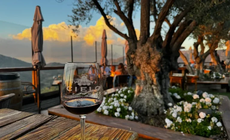 Private Wine Tasting Tour in Malibu