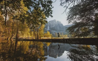 Yosemite Day Tour from San Francisco