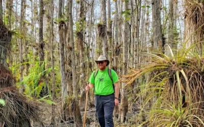 Everglades Adventure with a Wet Walk in Naples