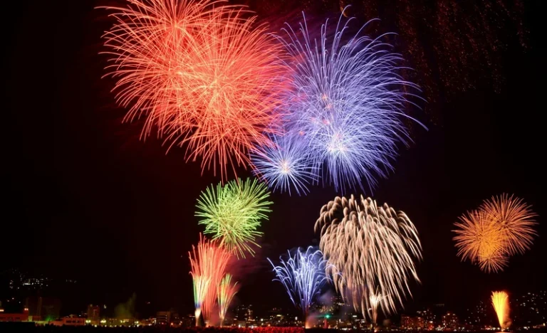 Waikiki Friday Night Fireworks Cruise