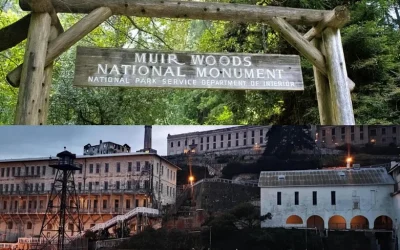 Alcatraz Night Tour with Muir Woods and Sausalito Alcatraz Night Tour with Muir Woods and Sausalito