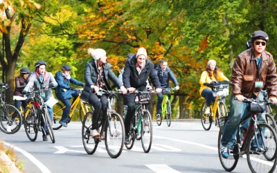 New York Central Park Guided Bike Tour