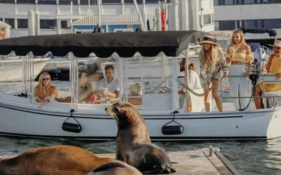 Los Angeles Luxury Cruise Experience with Wine, Cheese & Sea Lions