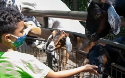 Central Park Zoo Ticket in New York City