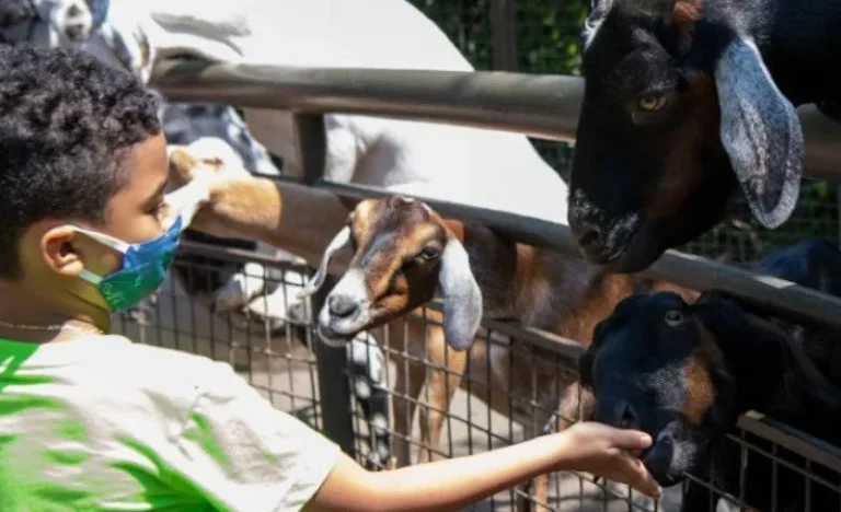 Central Park Zoo Ticket in New York City