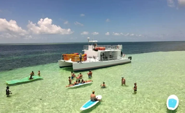 Sandbar Excursion & Kayak Tour with Lunch & Drinks in Key West