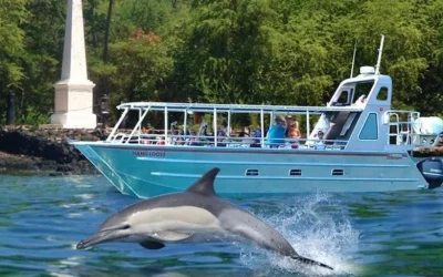 Captain Cook/Kealakekua Bay Snorkel and Marine Life Tour