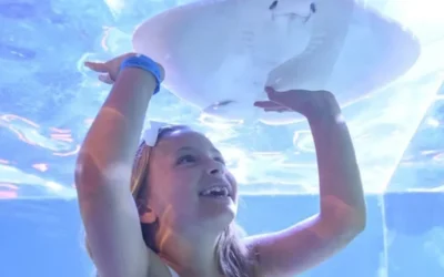 SeaQuest in Las Vegas Admission