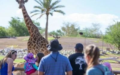 Phoenix Zoo Ticket in Phoenix Phoenix Zoo Ticket in Phoenix