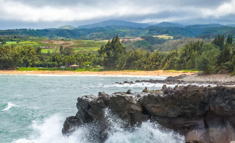 Maui West One Day Tour