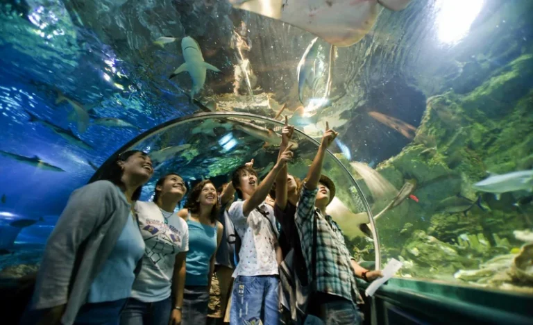 Aquarium of Guam Ticket