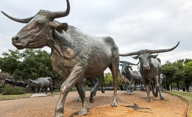 Sightseeing Trip in Dallas 9 Sightseeing Trip in Dallas