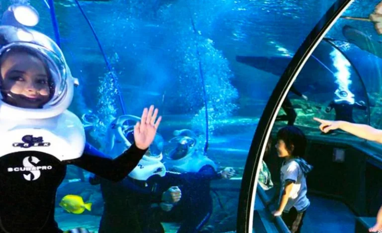 SeaTREK Experience in Aquarium of Guam