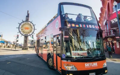 San Francisco 1 Day Hop-On Hop-Off Bus Tour