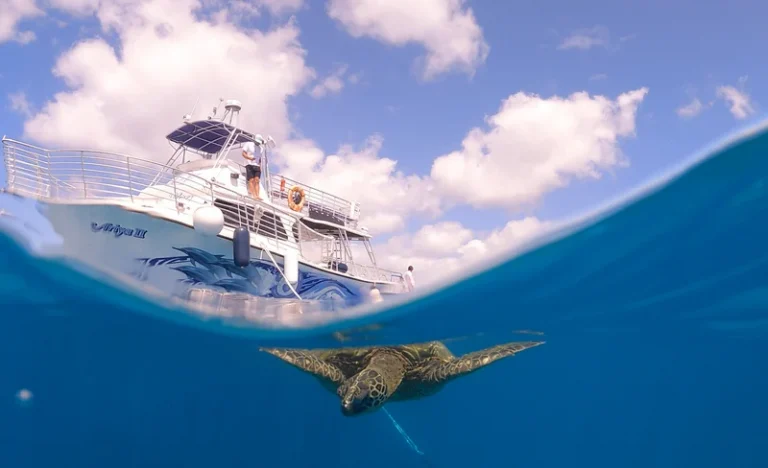 Waikiki Turtle Canyon Snorkeling with Lunch and Hula Performance