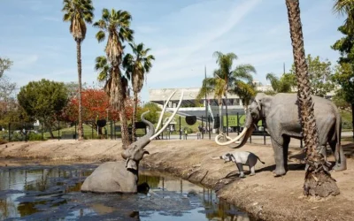 La Brea Tar Pits and Museum Ticket in Los Angeles