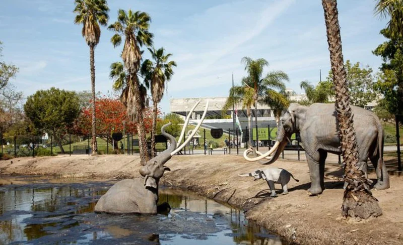 La Brea Tar Pits and Museum Ticket in Los Angeles