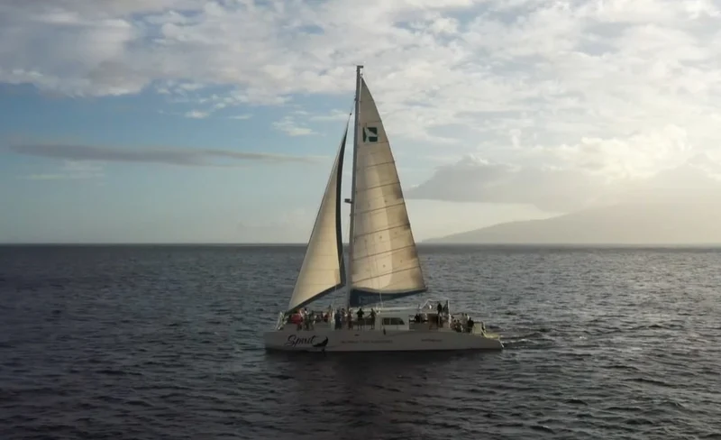 Sunset Cocktail and Whale Watch Cruise in Maui
