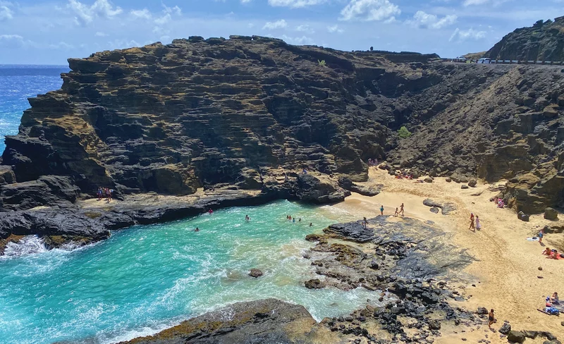 Oahu Island and North Shore Half Day Trip