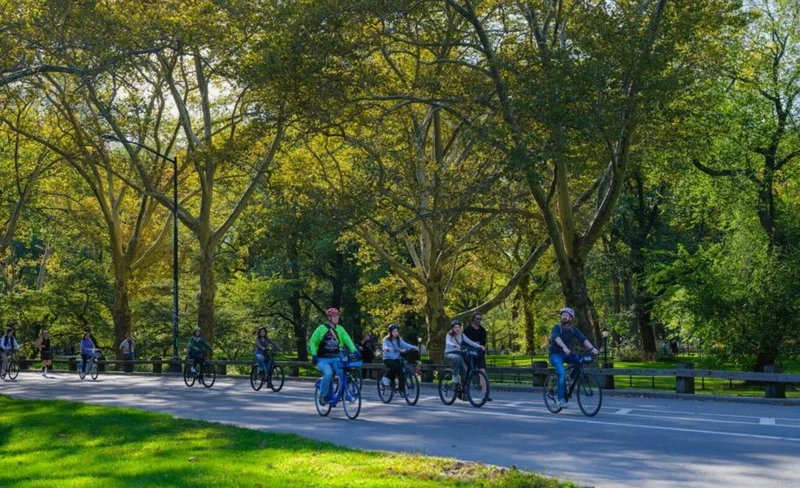 Complete Manhattan 5h Walking Tour & Cycle Central Park