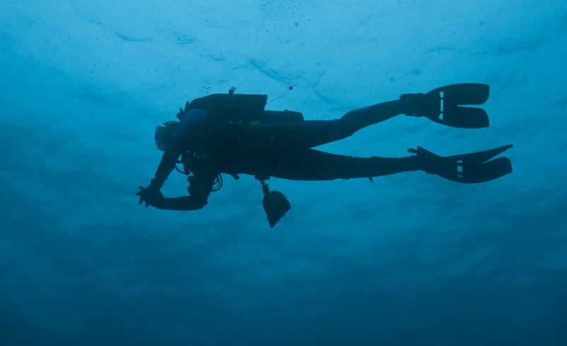 Elevate Your Dive: Nitrox Course in Islamorada with PADI 5* Center 8 Elevate Your Dive: Nitrox Course in Islamorada with PADI 5* Center