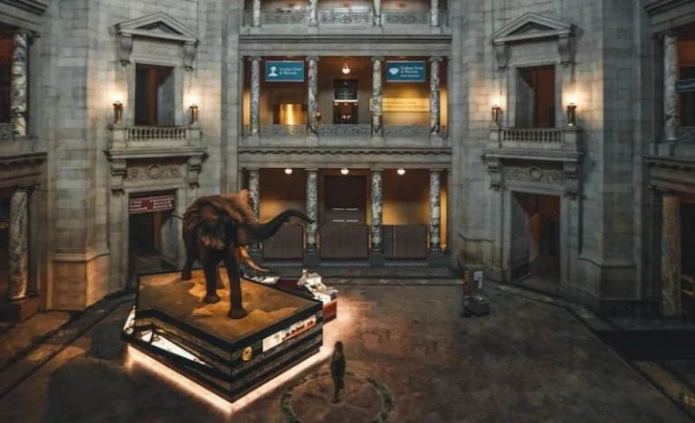 Smithsonian National Museum of Natural History Tour