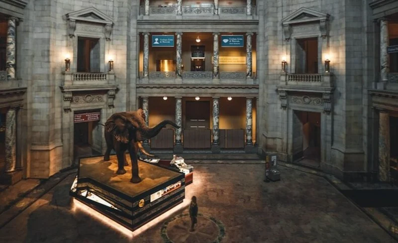 Smithsonian National Museum of Natural History Tour