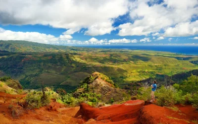 Kauai Waimea Canyon & Koke’e Adventure