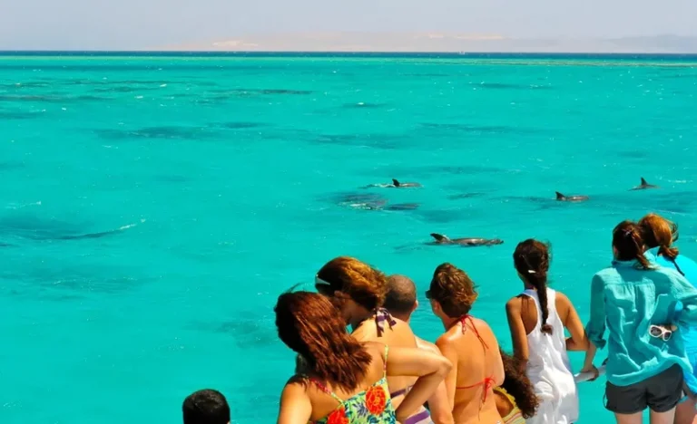 Key West: Dolphin Watching, Snorkeling, and Sunset Cruise