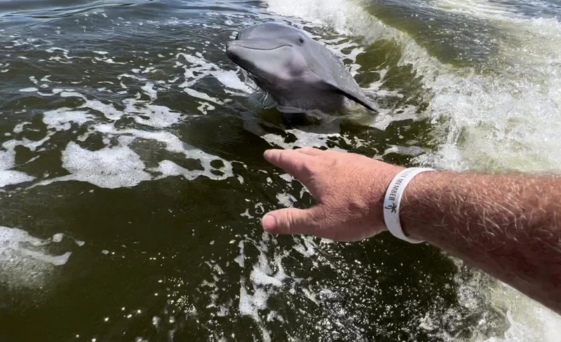 Boat Ride and Biologist Walk Day Tour in Everglades 11 Boat Ride and Biologist Walk Day Tour in Everglades