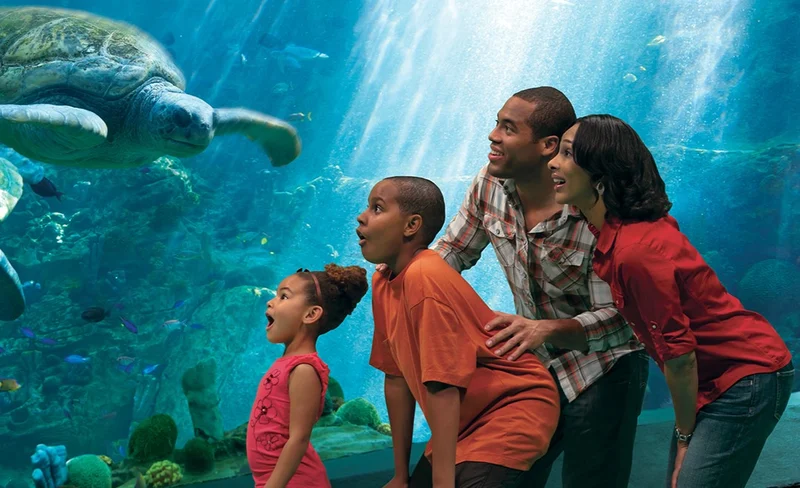 SeaWorld San Diego Tickets 11 SeaWorld San Diego Tickets