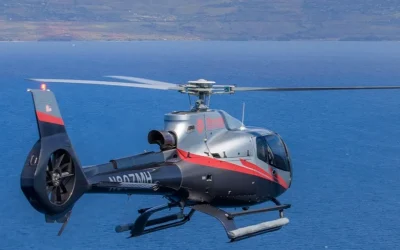 Hawaiian Odyssey Helicopter Tour in Maui