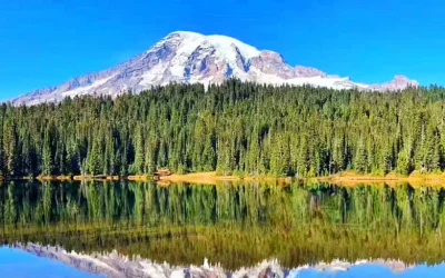 Mount Rainier National Park Day Tour from Seattle